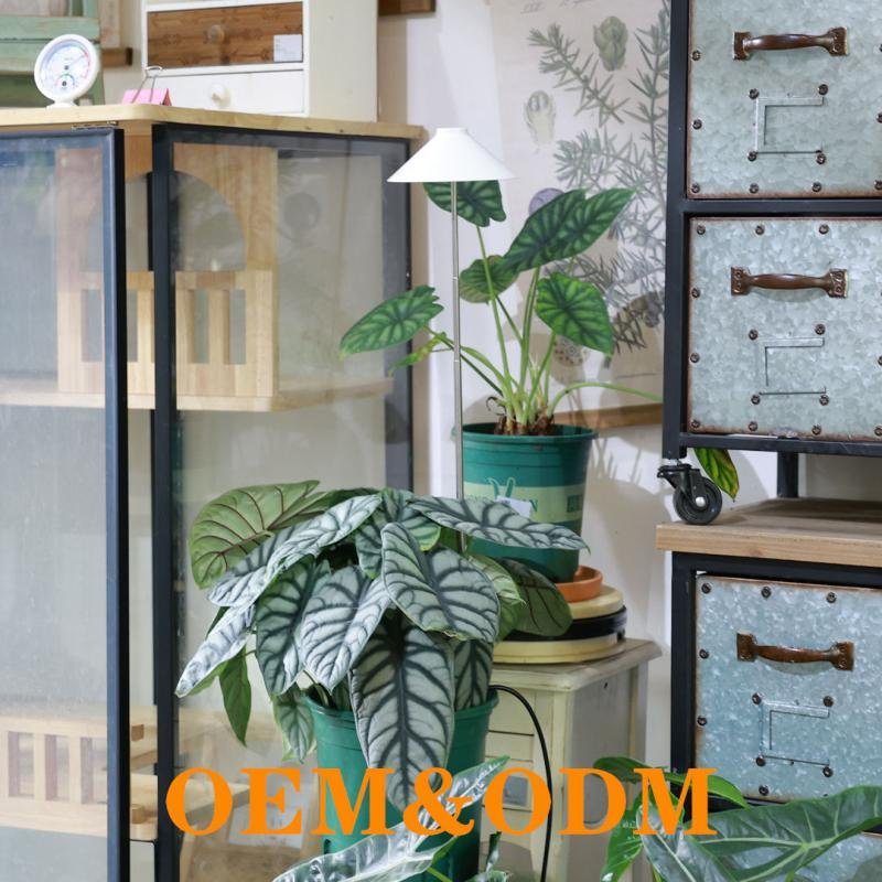 MiniSun USB LED Plant Growing Light Eco-Friendly Indoor Garden Smart Home Pot Light for 5-8 Inch Flower Pots Promotes Bloom